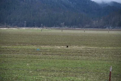 DSC_5851 (Large).JPG